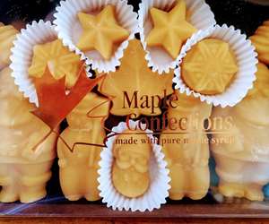 Maple sugar candies