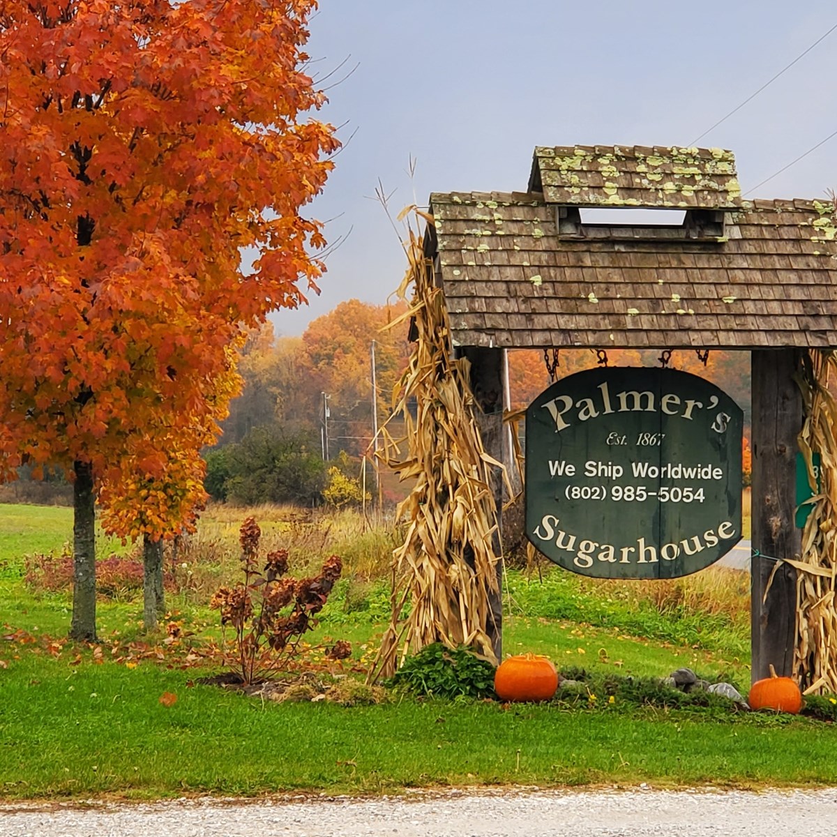 Palmer's signage in the fall