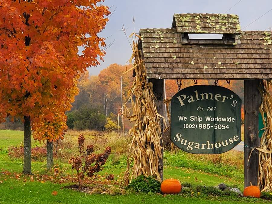 Palmer's signage in the fall