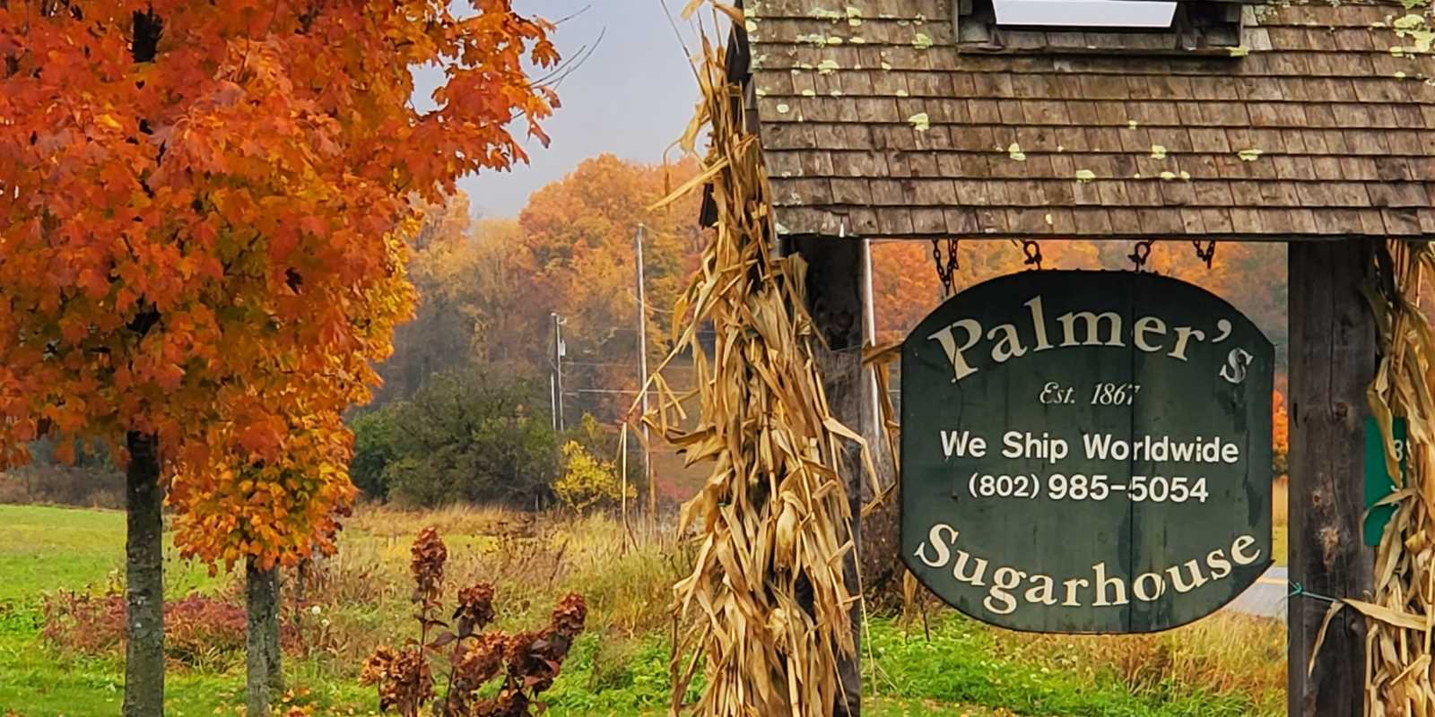 Palmer's signage in the fall