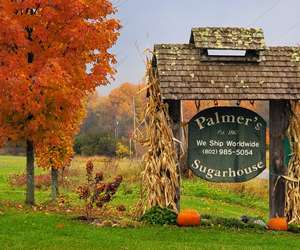 Palmer's signage in the fall